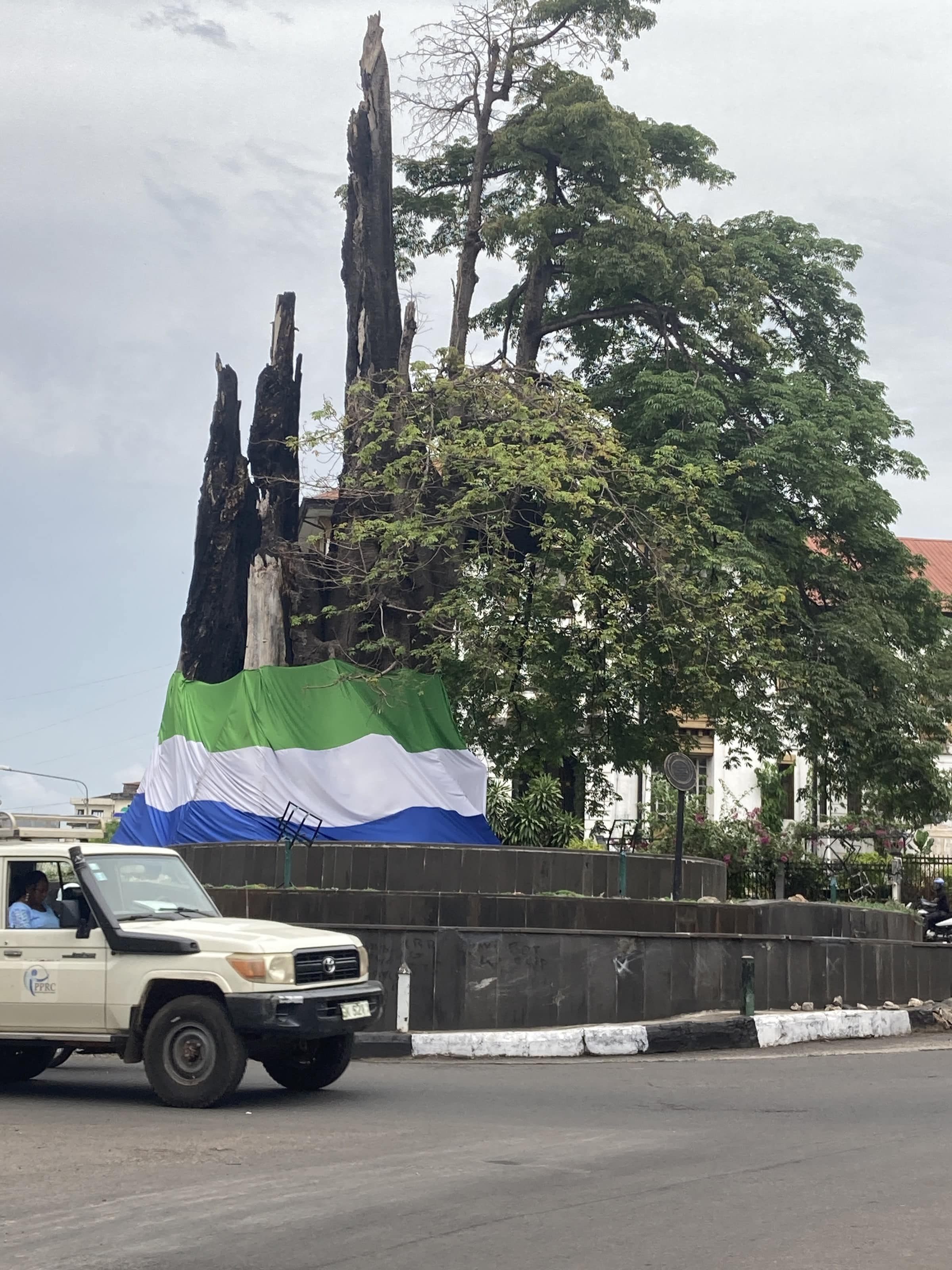 The blackened, broken trunk of the Cotton Tree, wrapped at its base in a large green, white and blue Sierra Leonean flag, beside a road with a passing vehicle.